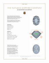 3.34 Ct.Tw.Total Carat Weight Bluish Green Sapphire Pair from Montana 3 D Scan Report