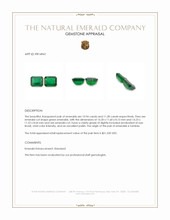 22.22 Ct.Tw.Total Carat Weight Emerald Pair from Zambia Appraisal