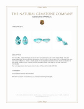 4.03 Ct.Tw.Total Carat Weight Blue Zircon Pair from Cambodia Appraisal