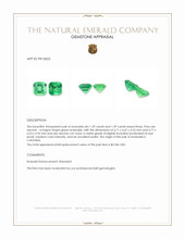 2.68 Ct.Tw.Total Carat Weight Emerald Pair from Colombia Appraisal