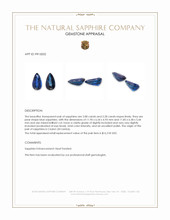 6.36 Ct.Tw.Total Carat Weight Blue Sapphire Pair from Ceylon (Sri Lanka) Appraisal