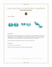 2.19 Ct.Tw.Total Carat Weight Blue Zircon Pair from Cambodia Appraisal
