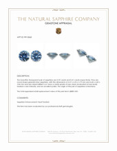 0.80&nbsp;Ct.Tw.Total Carat Weight Greenish Blue Sapphire Pair from Montana Appraisal