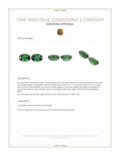 1.13&nbsp;Ct.Tw.Total Carat Weight Green Tourmaline Pair from Brazil Appraisal