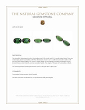 1.01&nbsp;Ct.Tw.Total Carat Weight Green Tourmaline Pair from Brazil Appraisal