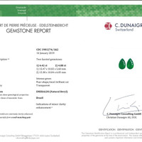 9.30&nbsp;Ct.Tw.Total Carat Weight Emerald Pair from Brazil Pdf