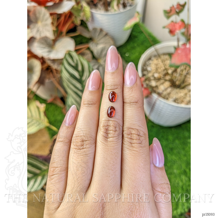 2.55 Ct.Tw. Red Cabochon Rhodolite Garnet Pair from Ceylon (Sri Lanka)