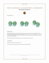 21.57 Ct.Tw.Total Carat Weight Bluish Green Jade Pair from Burma (Myanmar) Appraisal