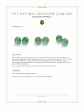 21.52 Ct.Tw.Total Carat Weight Green Jade Pair from Burma (Myanmar) Appraisal