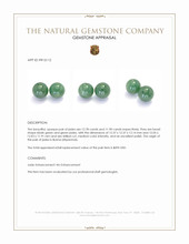 24.68 Ct.Tw.Total Carat Weight Bluish Green Jade Pair from Burma (Myanmar) Appraisal