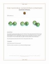 25.83 Ct.Tw.Total Carat Weight Green Jade Pair from Burma (Myanmar) Appraisal