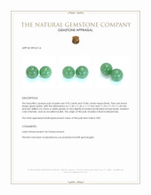 20.81 Ct.Tw.Total Carat Weight Green Jade Pair from Burma (Myanmar) Appraisal