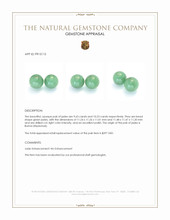 19.86&nbsp;Ct.Tw.Total Carat Weight Green Jade Pair from Burma (Myanmar) Appraisal