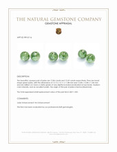 25.55 Ct.Tw.Total Carat Weight Green Jade Pair from Burma (Myanmar) Appraisal