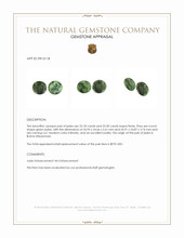 48.48 Ct.Tw.Total Carat Weight Green Jade Pair from Burma (Myanmar) Appraisal
