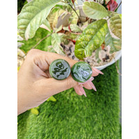48.48&nbsp;Ct.Tw.Total Carat Weight Green Jade Pair from Burma (Myanmar) Life Style