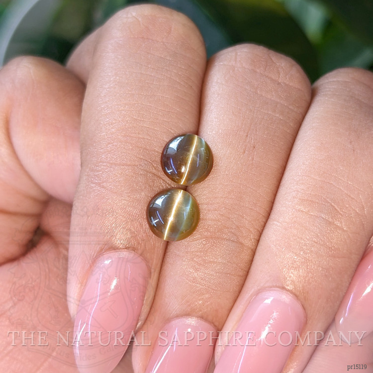 3.06 Ct.Tw. Greenish Brown Cabochon Chrysoberyl Pair from Ceylon (Sri Lanka)