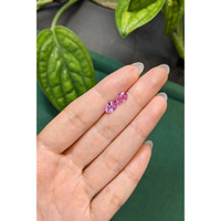1.85&nbsp;Ct.Tw.Total Carat Weight Pink Sapphire Pair from Ceylon (Sri Lanka) Life Style