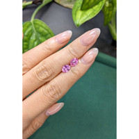1.83&nbsp;Ct.Tw.Total Carat Weight Pink Sapphire Pair from Ceylon (Sri Lanka) Life Style