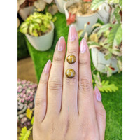 8.51&nbsp;Ct.Tw.Total Carat Weight Cabochon Tiger's Eye Pair from Ceylon (Sri Lanka) Life Style