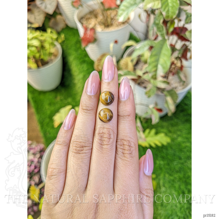 8.68 Ct.Tw. Cabochon Tiger's Eye Pair from Ceylon (Sri Lanka)