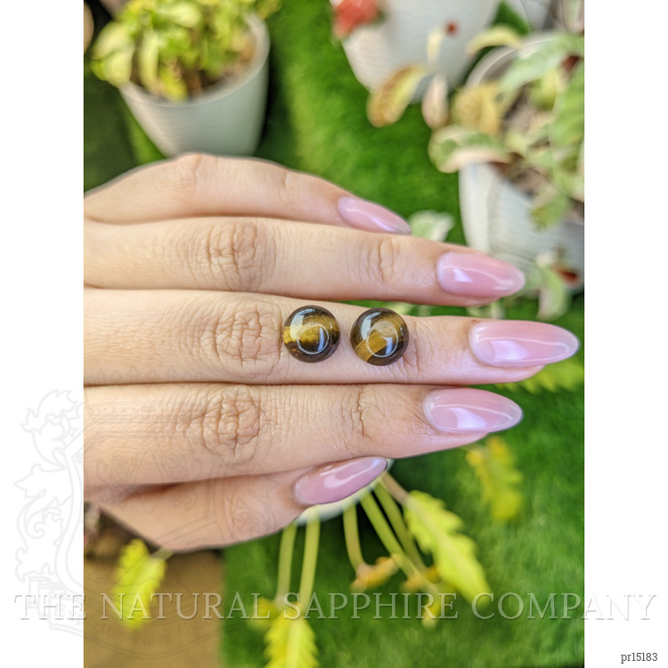 8.82 Ct.Tw. Cabochon Tiger's Eye Pair from Ceylon (Sri Lanka)