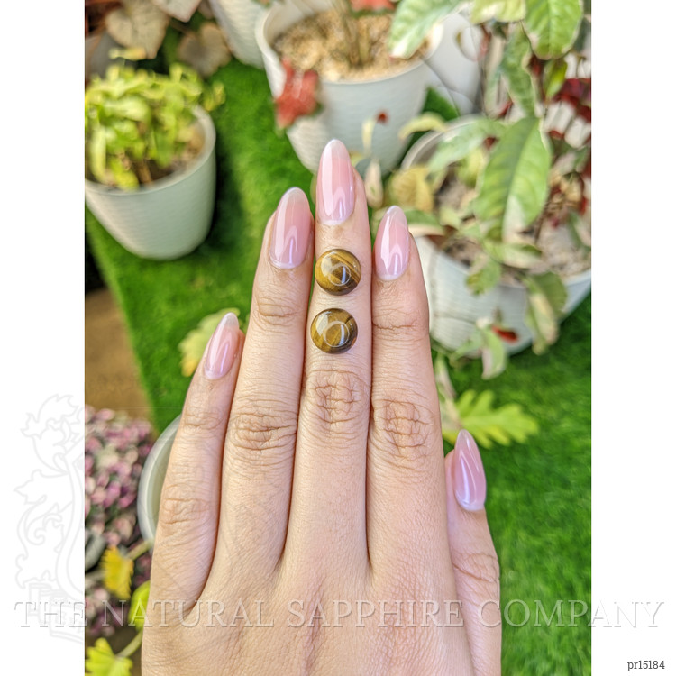 9.04 Ct.Tw. Cabochon Tiger's Eye Pair from Ceylon (Sri Lanka)