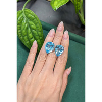 40.12&nbsp;Ct.Tw.Total Carat Weight Blue Topaz Pair from Brazil Life Style