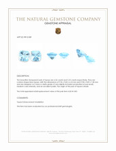 9.56 Ct.Tw.Total Carat Weight Blue Topaz Pair from Brazil Appraisal
