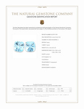 9.56 Ct.Tw.Total Carat Weight Blue Topaz Pair from Brazil Scan Report