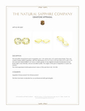 2.50&nbsp;Ct.Tw.Total Carat Weight Yellow Sapphire Pair from Ceylon (Sri Lanka) Appraisal