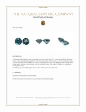 1.30&nbsp;Ct.Tw.Total Carat Weight Greenish Blue Sapphire Pair from Ceylon (Sri Lanka) Appraisal