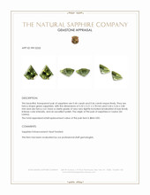 0.90 Ct.Tw.Total Carat Weight Green Sapphire Pair from Ceylon (Sri Lanka) Appraisal