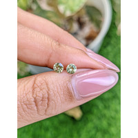 0.48&nbsp;Ct.Tw.Total Carat Weight Yellow Sapphire Pair from Ceylon (Sri Lanka) Life Style