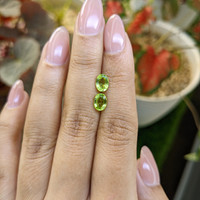 1.77&nbsp;Ct.Tw.Total Carat Weight Green (Lime Green) Peridot Pair from Pakistan Life Style