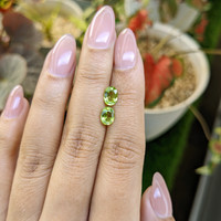 1.83&nbsp;Ct.Tw.Total Carat Weight Green (Lime Green) Peridot Pair from Pakistan Life Style