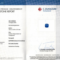 12.03&nbsp;Ct.Tw.Total Carat Weight Blue Sapphire Pair from Ceylon (Sri Lanka) Scan Report
