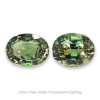 5.05&nbsp;Ct.Tw.Total Carat Weight Alexandrite Pair from Ceylon (Sri Lanka) Video