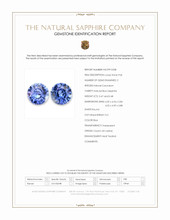 0.95 Ct.Tw.Total Carat Weight Blue Sapphire Pair from Ceylon (Sri Lanka) Scan Report
