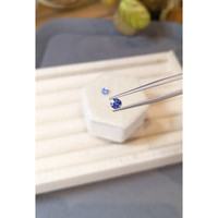 0.95&nbsp;Ct.Tw.Total Carat Weight Blue Sapphire Pair from Ceylon (Sri Lanka) Life Style
