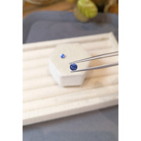1.07&nbsp;Ct.Tw.Total Carat Weight Blue Sapphire Pair from Ceylon (Sri Lanka) Life Style