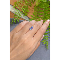 1.16&nbsp;Ct.Tw.Total Carat Weight Blue Sapphire Pair from Ceylon (Sri Lanka) Life Style