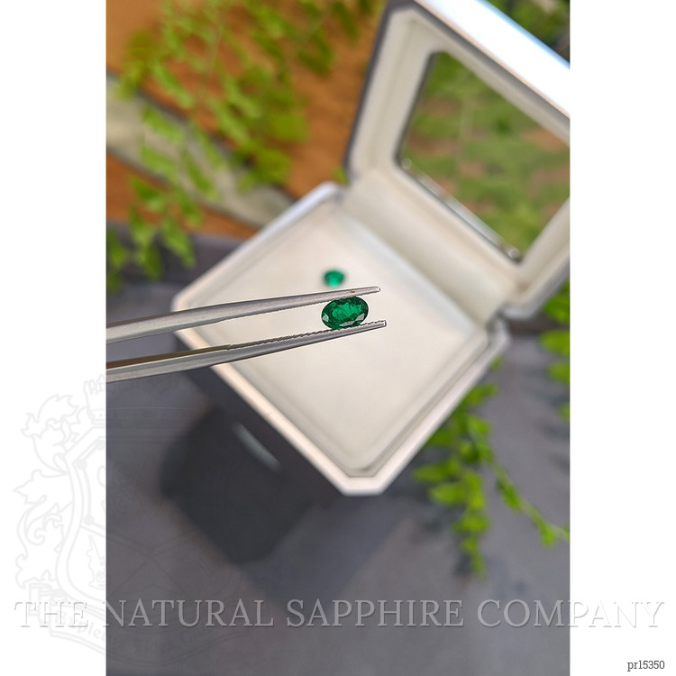 0.82 Ct.Tw. Green Sapphire Pair from Ceylon (Sri Lanka)