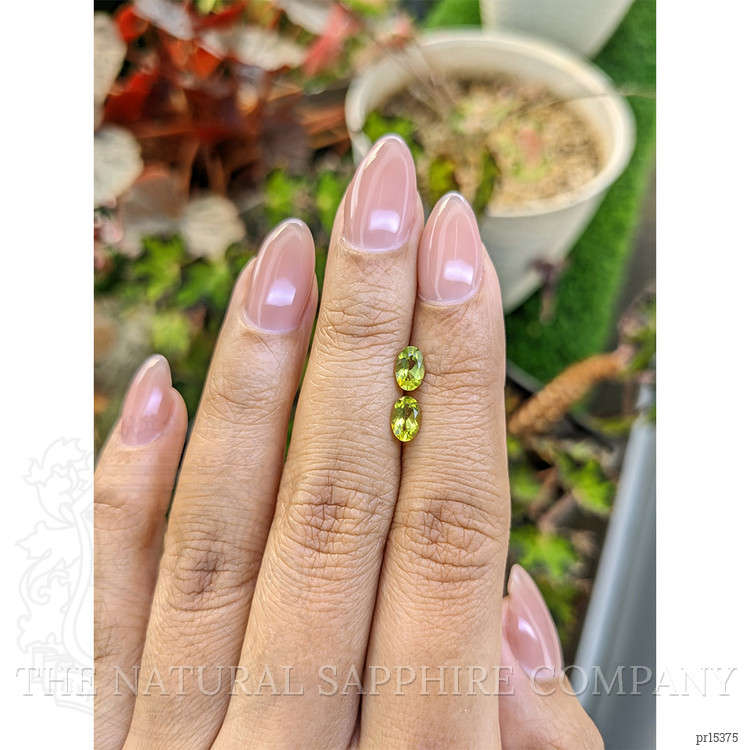 0.99 Ct.Tw. Yellowish Green Peridot Pair from Pakistan