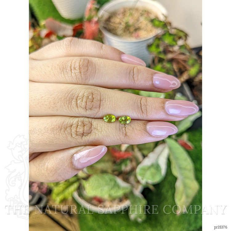 0.97 Ct.Tw. Yellowish Green Peridot Pair from Pakistan