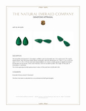 15.49 Ct.Tw.Total Carat Weight Emerald Pair from Colombia Appraisal