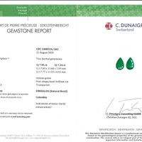 15.49&nbsp;Ct.Tw.Total Carat Weight Emerald Pair from Colombia Pdf