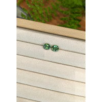 3.25&nbsp;Ct.Tw.Total Carat Weight Bluish Green Tourmaline Pair from Brazil Life Style