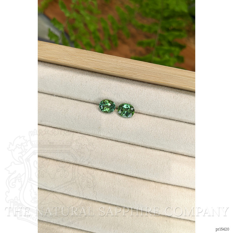 3.25 Ct.Tw. Bluish Green Tourmaline Pair from Brazil