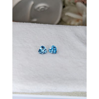1.06&nbsp;Ct.Tw.Total Carat Weight Blue Topaz Pair from Ceylon (Sri Lanka) Life Style